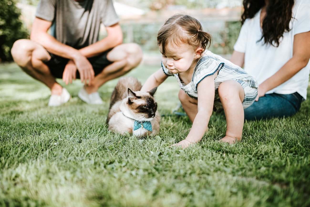 toddler with cat outside