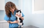 Female veterinarian holding a black and white cat.
