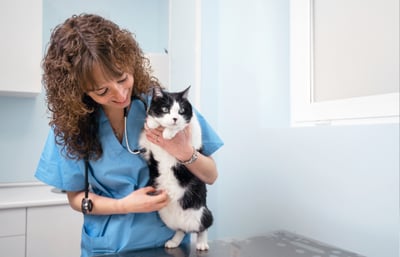 Female veterinarian holding a black and white cat.