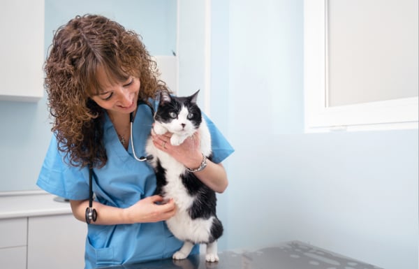 Female veterinarian holding a black and white cat.