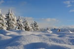 winter landscape