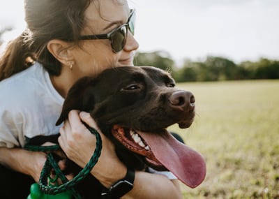 woman hugging chocolate lab outside