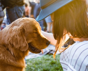 Woman in a hat petting a golden retriever