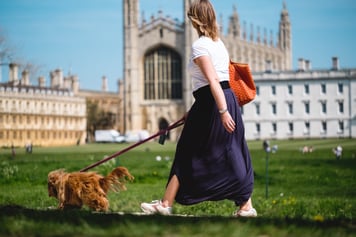 woman walking dog in cambridge