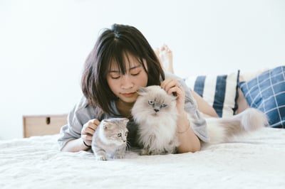 woman laying on bed petting cats