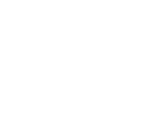 Beacon Global Advisors