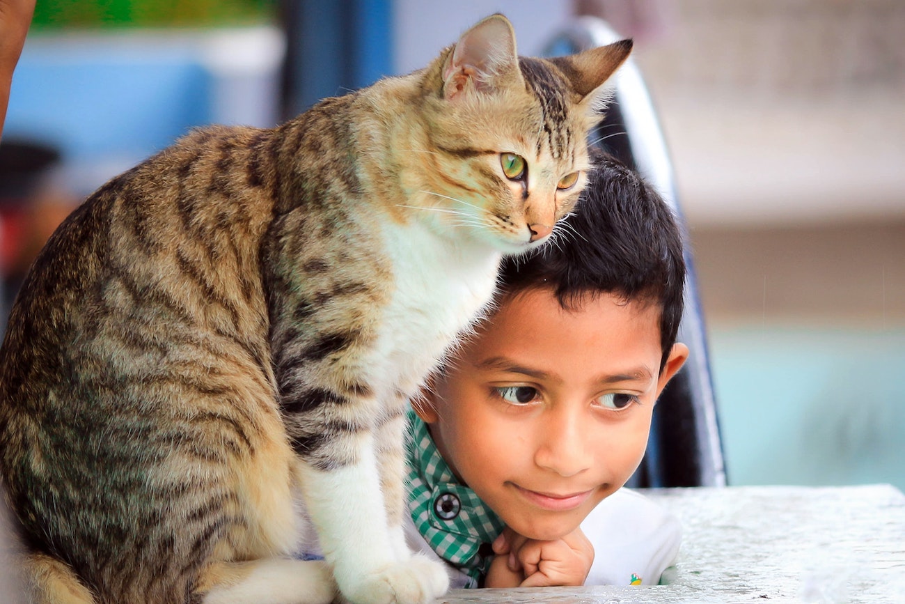 Little boy with cat