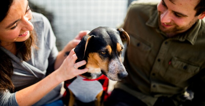 Destinations we service image Destinations we service image