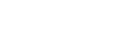 STW white icon with text