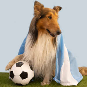 argentinadog
