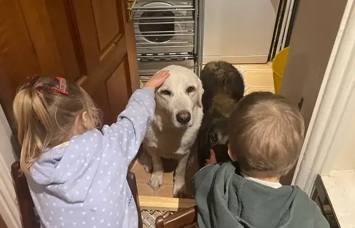 Tuck and Louisa's Trip to Dublin