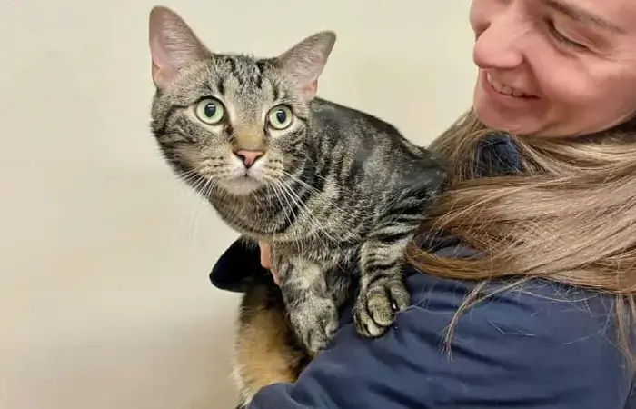 Guppy's Trip to Sydney