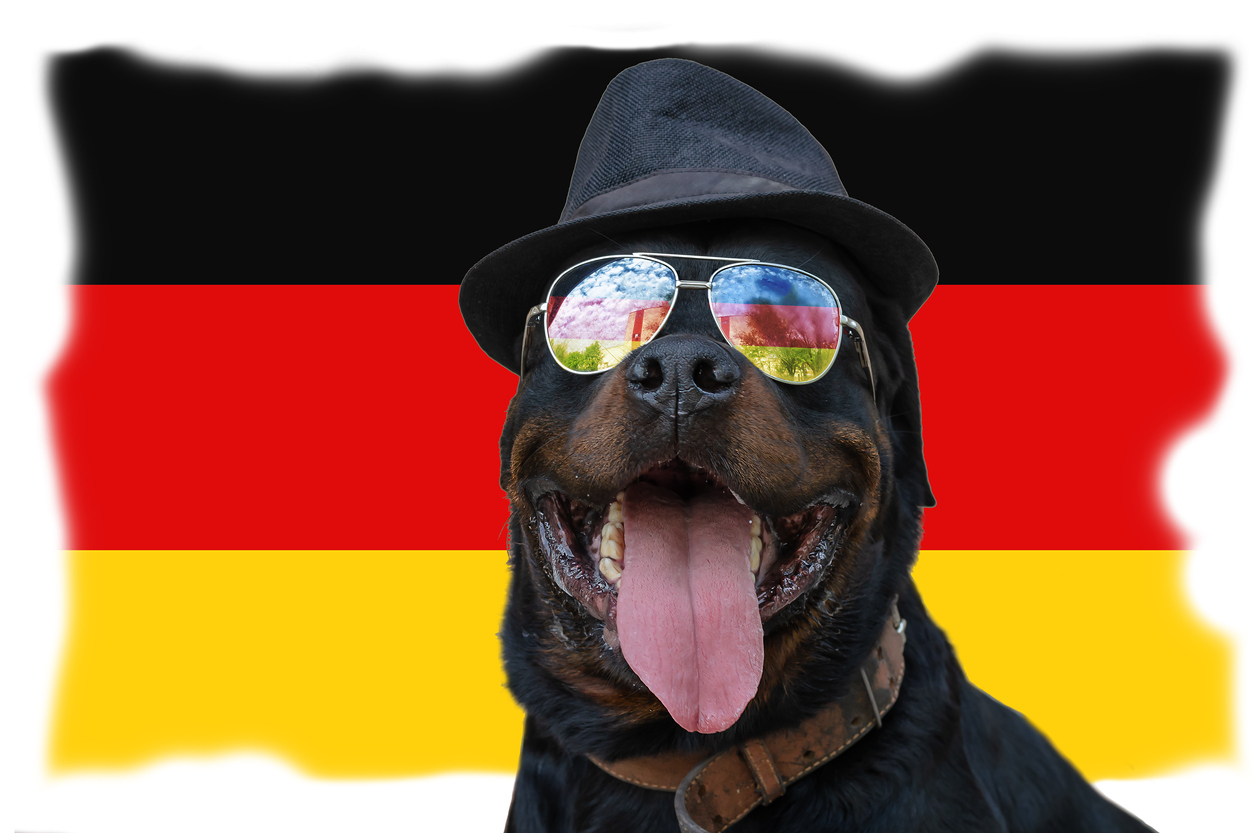 Pet Transport for Germany Starwood Pet Travel