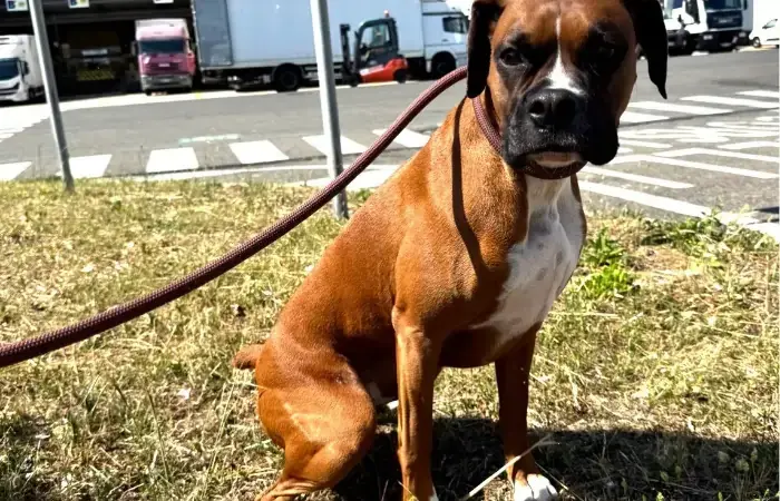 Ginny & Cali's Trip to Naples